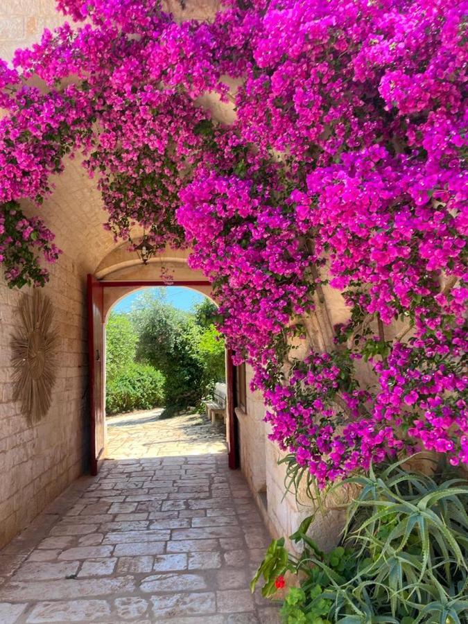 Masseria Morrone Ostuni Exteriér fotografie