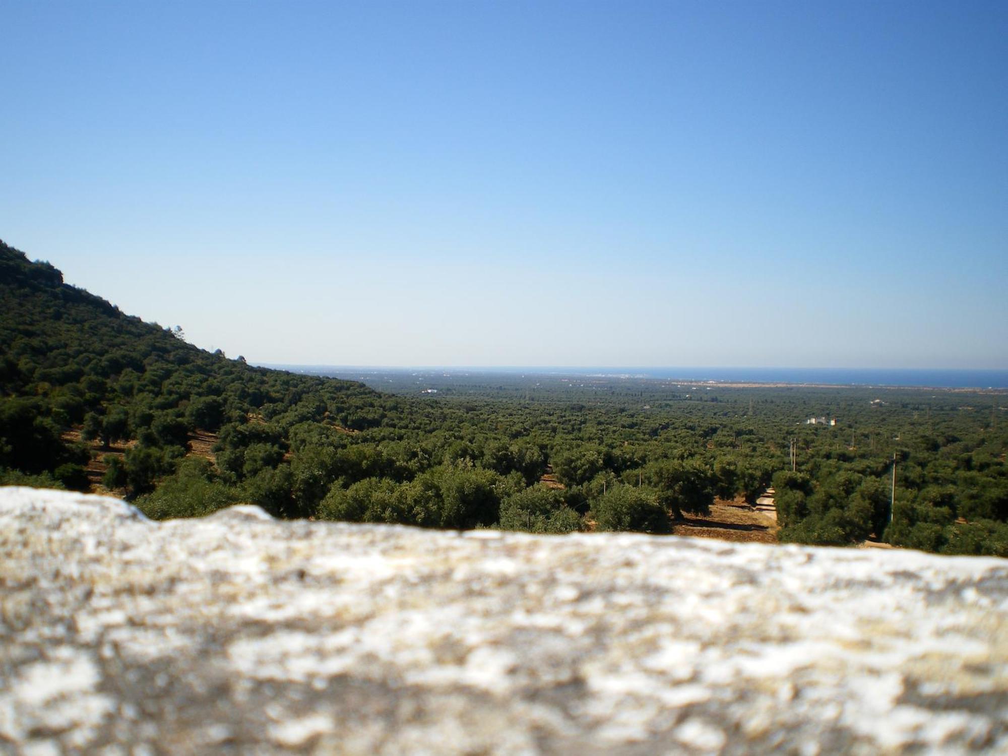Masseria Morrone Ostuni Exteriér fotografie