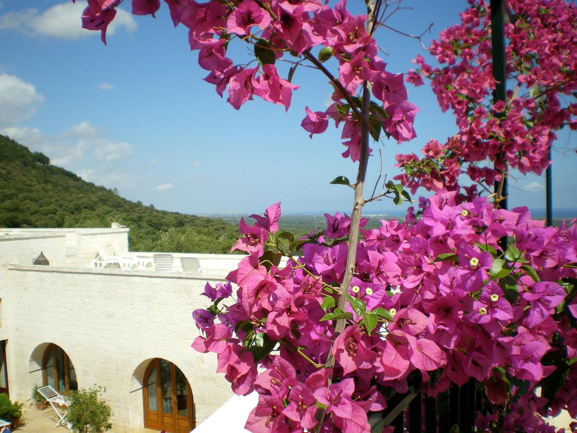 Masseria Morrone Ostuni Exteriér fotografie